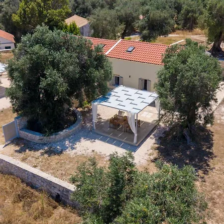 Amaranthus House * Longós