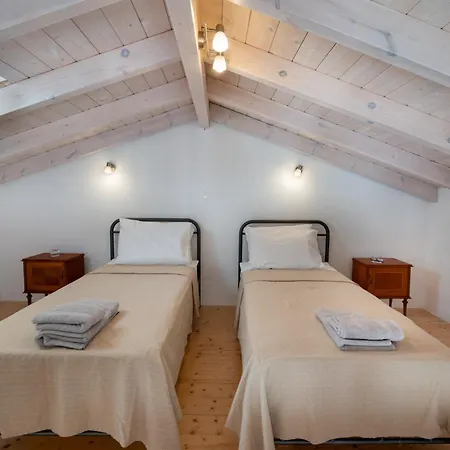 Amaranthus House Longós